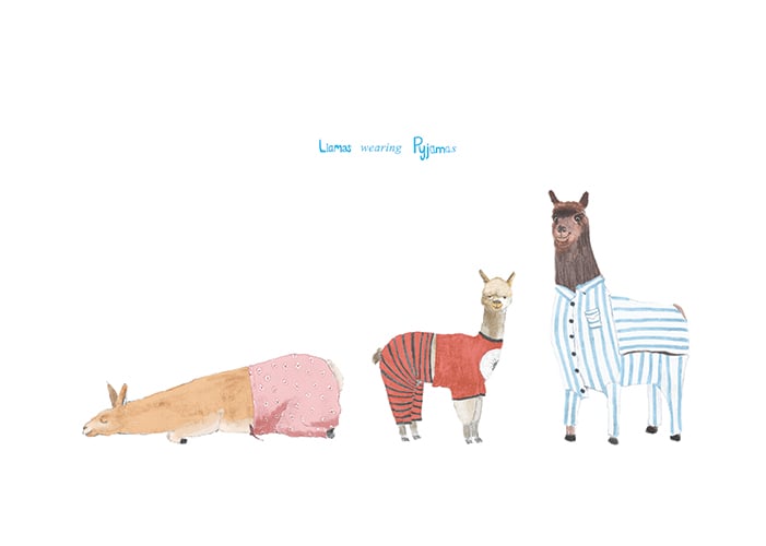 Llamas wearing Pyjamas