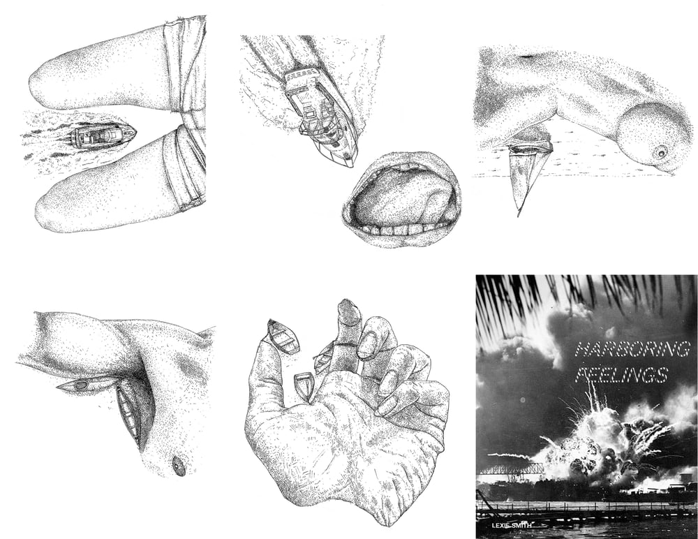 Image of Harboring Feelings Accordion Zine