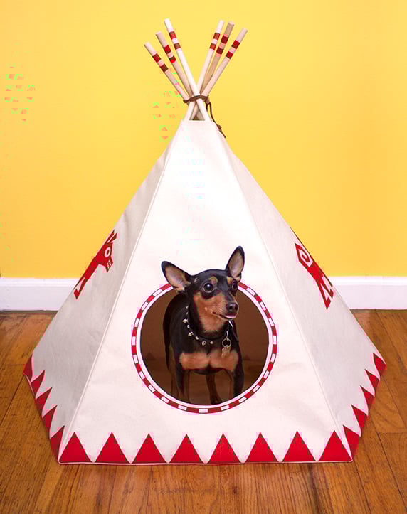 Vermilion Dog Teepee / Snaggs Pet Teepees