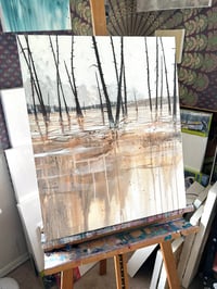 Image 2 of ORIGINAL - Fountain Flats (YNP)