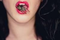 Image 1 of Cicada (2 versions)