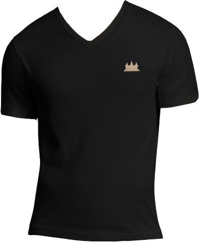 Image of Classic V Neck - Black / Gold Angkor Wat Viny Print