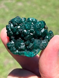 Image 4 of Dioptase Specimen #2539