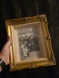 Image 3 of ‘Victorian 1800s -  faces’ taxidermy spider" 1800s Page With Preserved Web