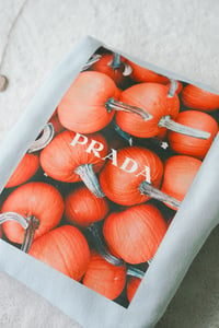 Image 2 of Prada Pumpkin