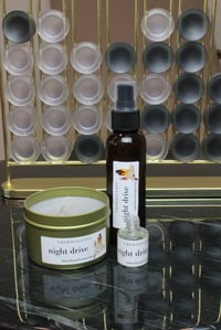 Image 2 of Night Drive