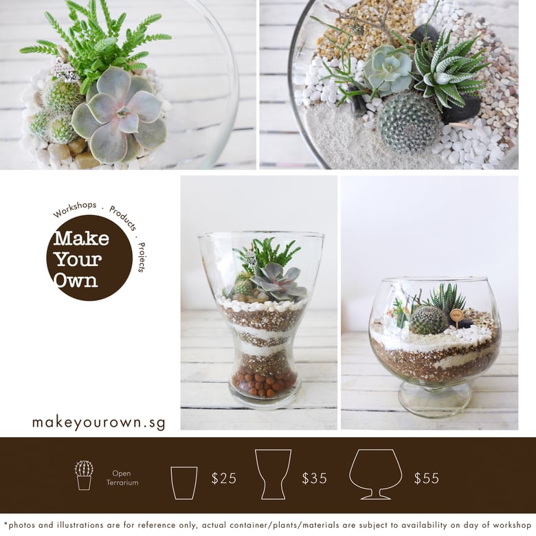 Image of Make Your Own Terrarium Workshop - Open Terrarium