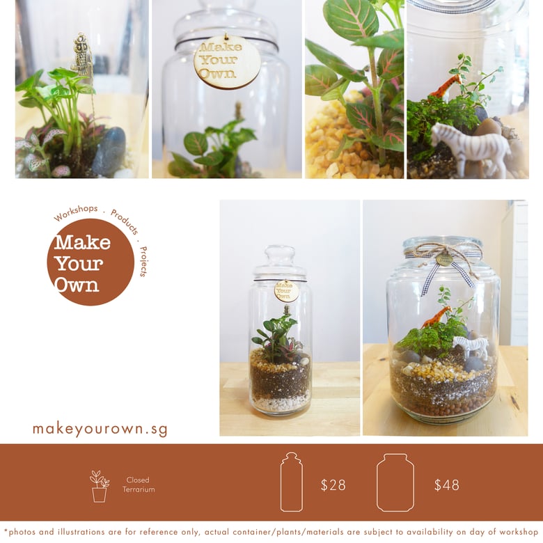 Image of Make Your Own Terrarium Workshop - Closed Terrarium