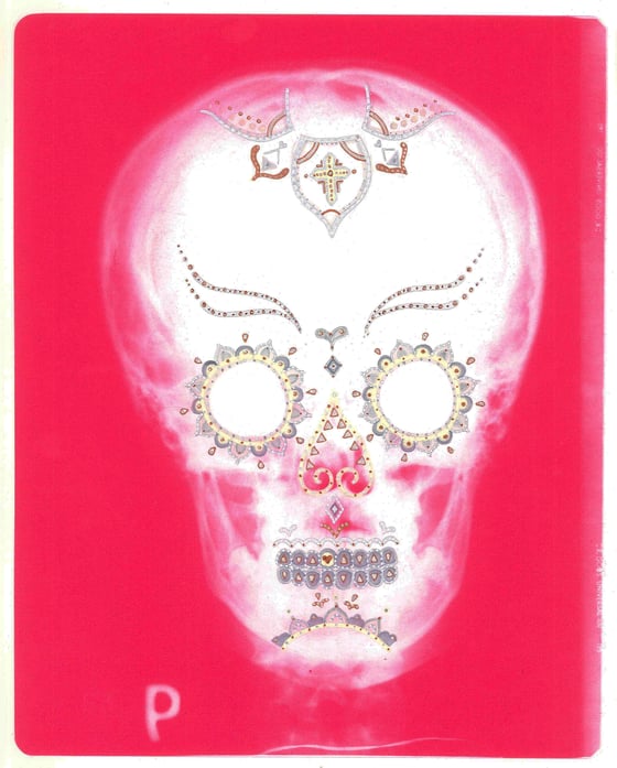 Image of 'Oh Sugar! No. 4' Limited Edition Hand Illustrated Print