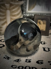 Image 2 of Fetal Puppy Crawling Hand 