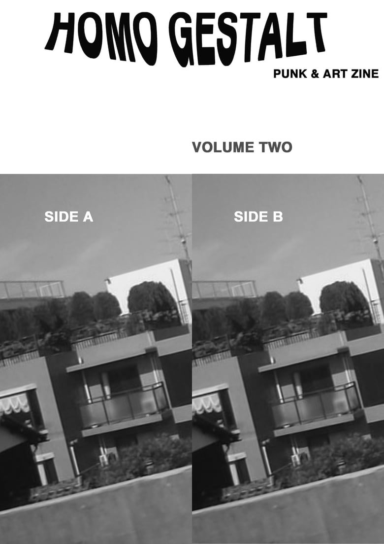 Image of Homo Gestalt Vol.2