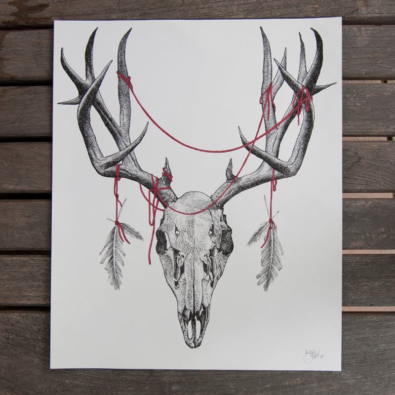 Image of Deer Skull Original
