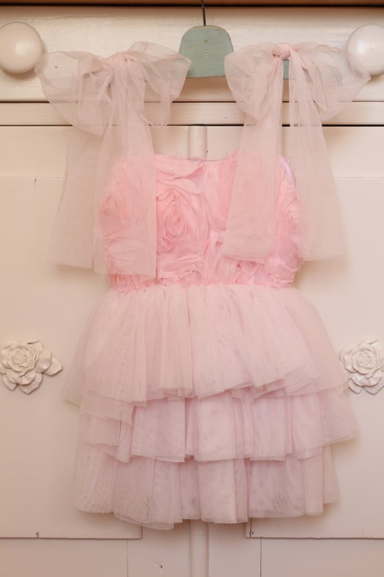 Image of Pink Roses & Ruffles Dress
