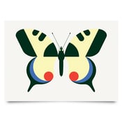 Image of Swallowtail print