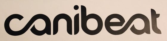 Image of Canibeat 8' Vinyl decal