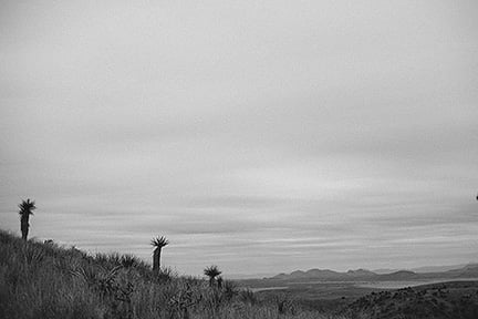 Image of Desert Conversations - Marfa, TX (Davis Mountains)