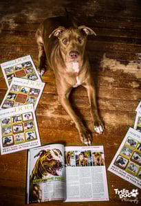 Image of Pawtographed American Dog Magazine