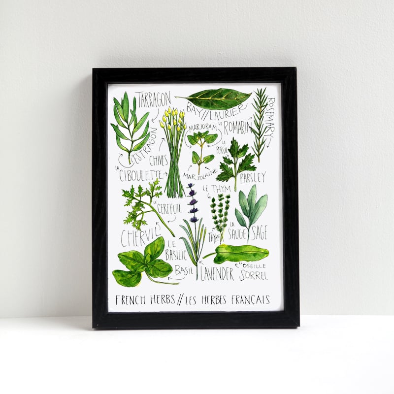 Image of French Herbs Watercolor Print
