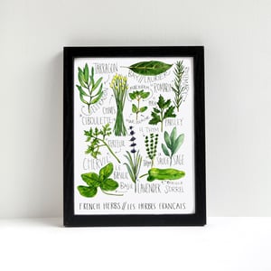 French Herbs Watercolor Print by Alyson Thomas of Drywell Art. Available at shop.drywellart.com