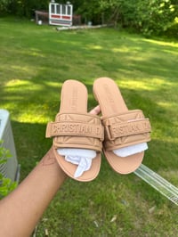 CD slides ( on hand )