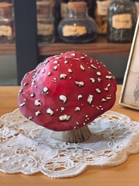 Image 7 of Mysterious Mushrooms