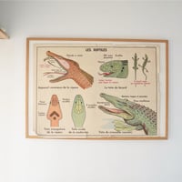 Image 11 of Grandes affiches scolaires anciennes