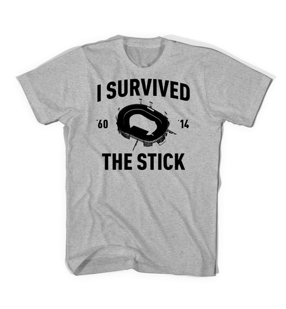 Image of I survived the stick