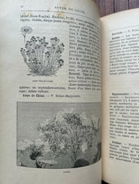Image 13 of Le jardin d’agrément, L-J.Troncet, édition Larousse, 1908