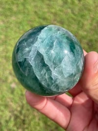 Image 6 of Dark Green Fluorite Sphere #1824