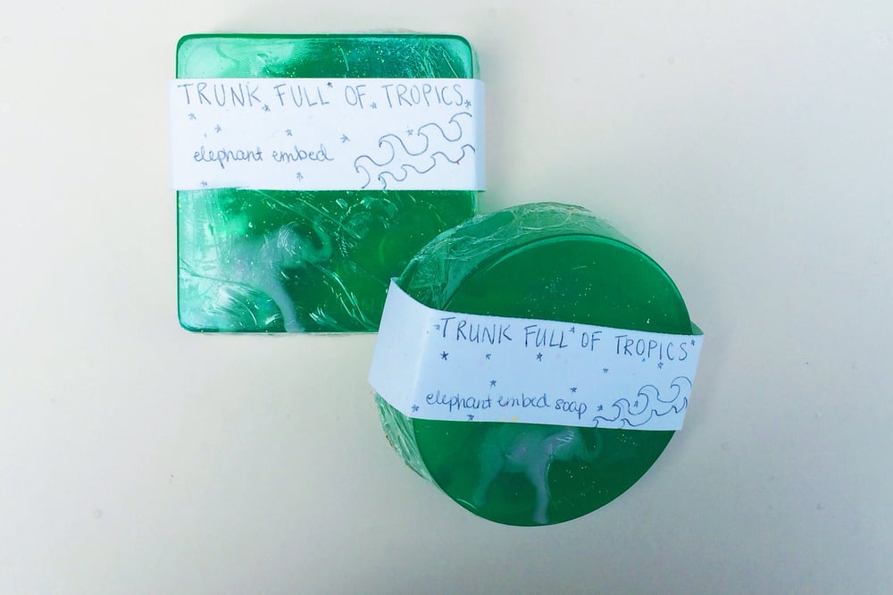 Image of Trunk Full of Tropics