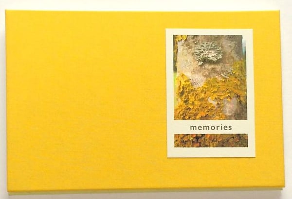 Image of Memories, a concertina fold book.