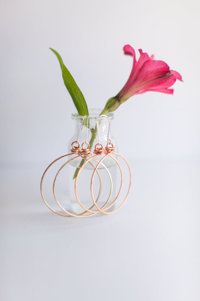 Image of Circle earrings