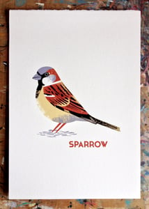 Image of Sparrow