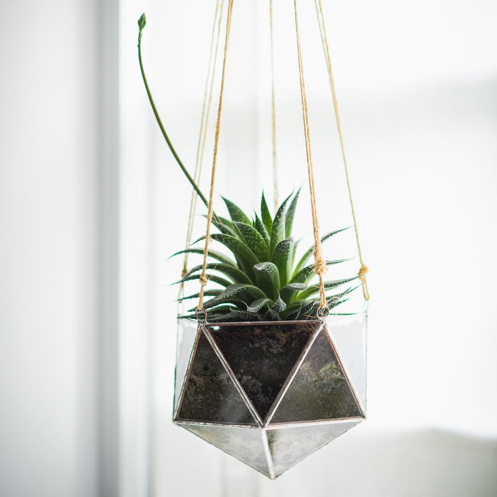 Linea Terrarium Planter / ABJ glassworks