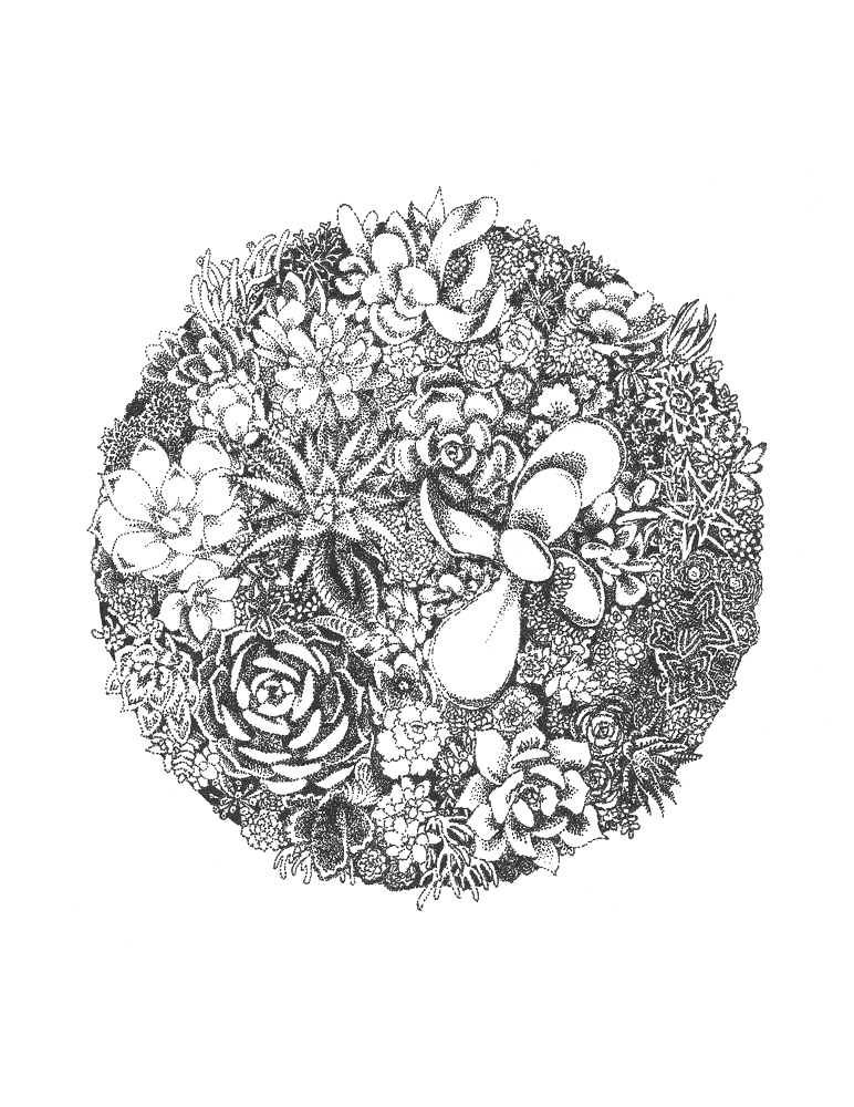 Image of Succulent Garden Print