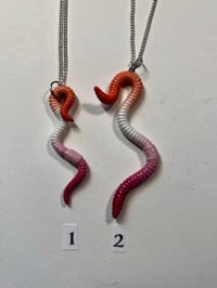 Image 1 of Lesbian Pride Worms