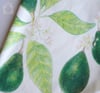 Baby + Toddler Avocado Organic Leggings