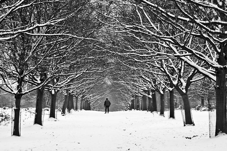 Image of Walking in the snow