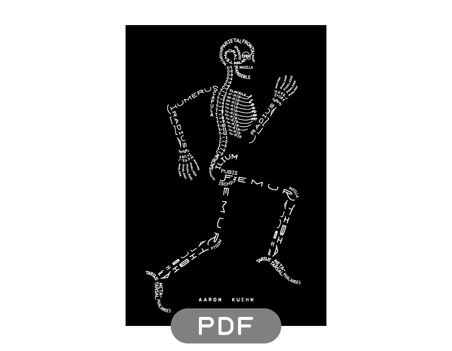 Image of Skeleton Typogram - PDF on black