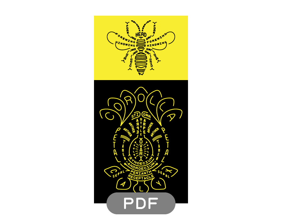 Image of Pollinator Typogram - PDF