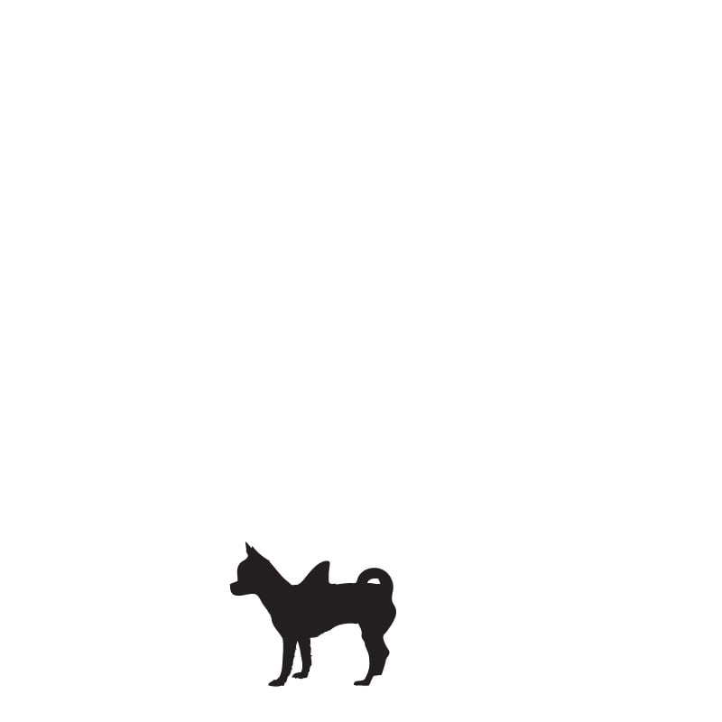 Image of Dog Shark Fin - Micro Size Dog
