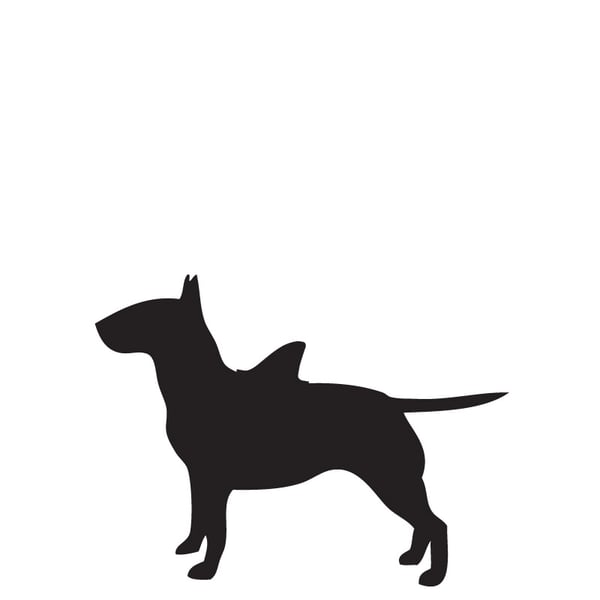 Image of Dog Shark Fin - Mid Size Dog