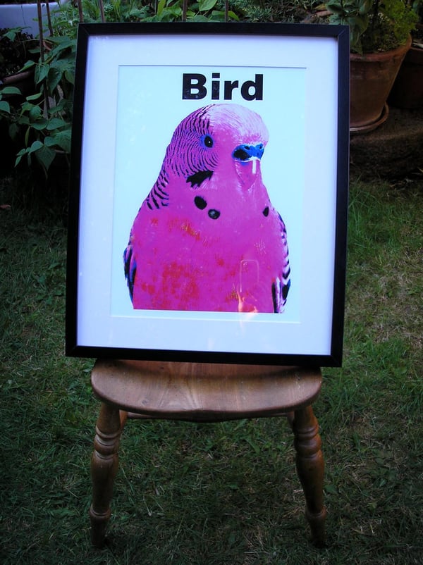 Image of Bird A3 Digital Framed Print