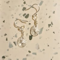 Image 3 of Limpet Shell Hook Earrings