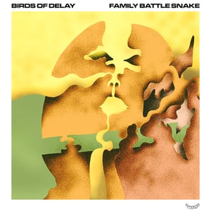 Image of Birds of Delay / Family Battle Snake split 7"