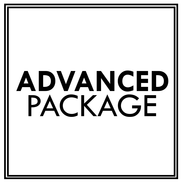 Image of Advanced Package (Logo Design)