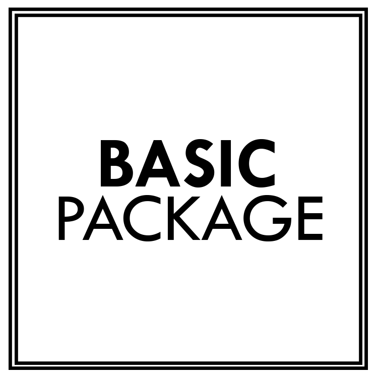 Image of Basic Package (Logo Design)