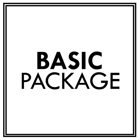 Image of Basic Package (Logo Design)