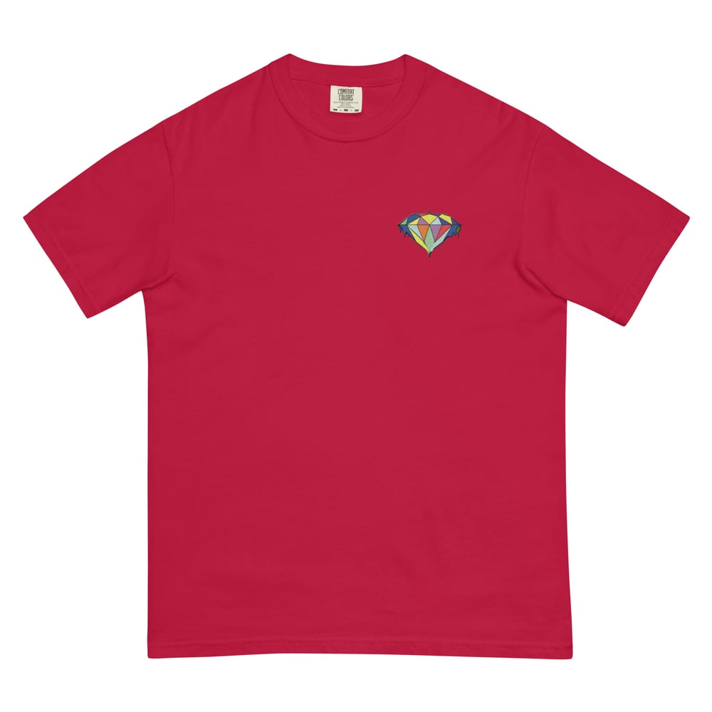 Image of embroidered logo tshirt
