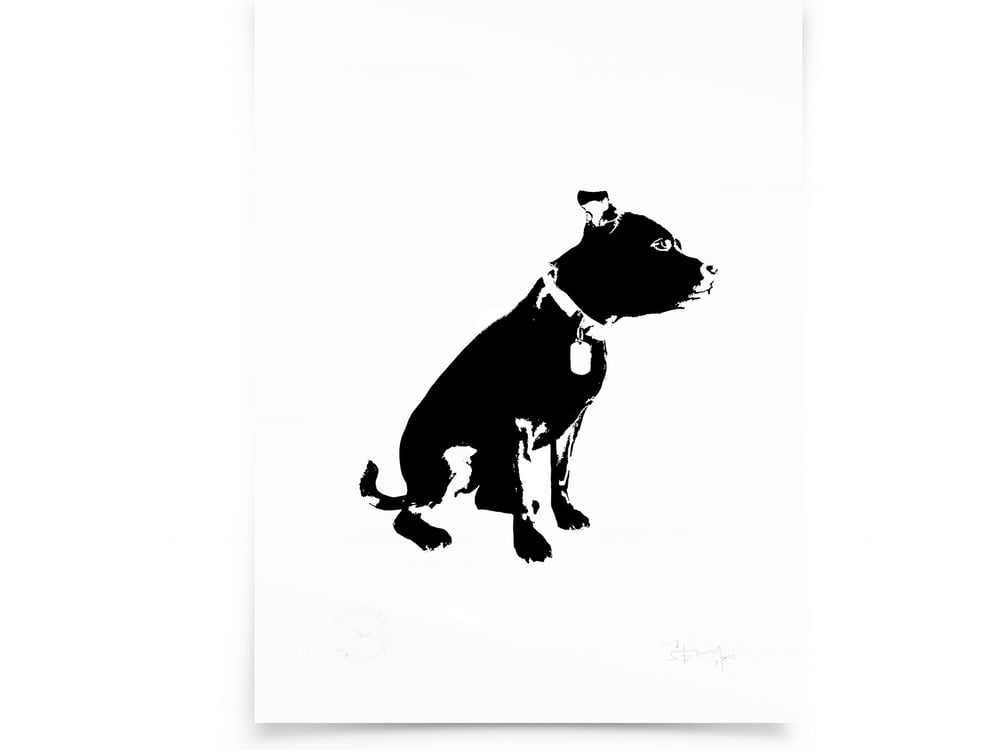 Image of Dog on paper - Screenprint